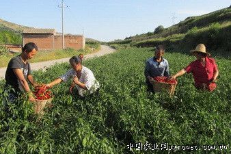 魯紅集團(tuán)