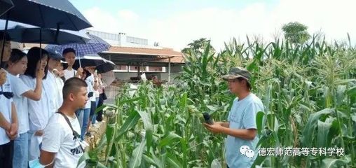 德宏師范高等專科學(xué)校2022年高職單招招生專業(yè)介紹