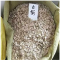 榆樹種子價(jià)格|山東榆樹種子銷售商|001