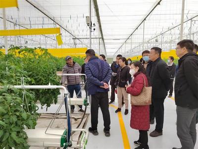 九三學社開封市委鄉村振興科技服務團赴西姜寨開展“鄉村振興促進行動”專項調研