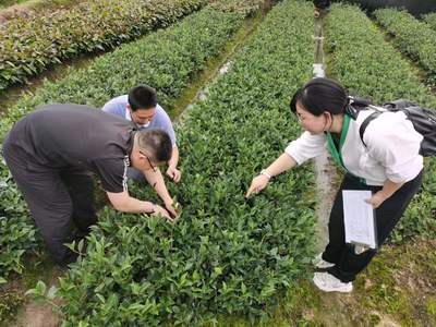 2022年省級(jí)種苗質(zhì)量監(jiān)督抽查工作圓滿完成