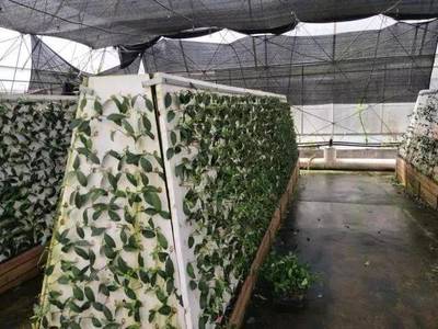 我市首批40個社會實踐基地公布 放學(xué)放假過周末孩子有地兒去