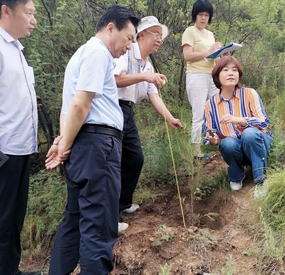山西省種苗總站赴關(guān)帝林局進(jìn)行種苗質(zhì)量抽查和生產(chǎn)經(jīng)營許可事項(xiàng)“雙隨機(jī)”執(zhí)法檢查工作