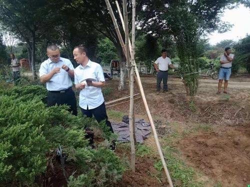沂水縣行政審批服務局三舉措助推林木種子生產經營許可辦理再提速