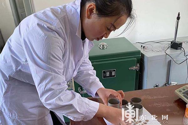 鶴北林業局林木種子管理站職工精選紅松種子.