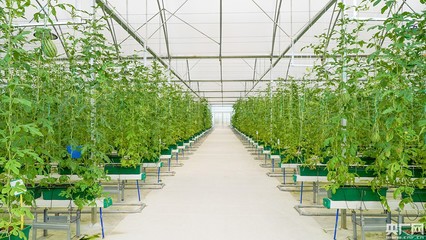建設(shè)美麗宜居新農(nóng)村 航拍帶你領(lǐng)略連樟村華麗蛻變
