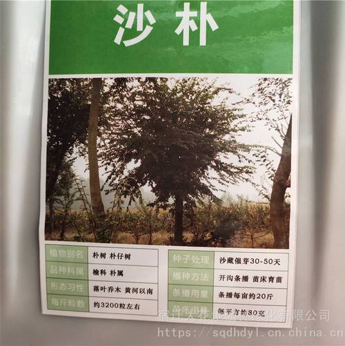 【***新采摘林木種子 樸樹種子 發芽率高 價格便宜 批發價】價格_廠家