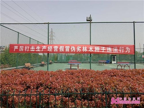 依法治種 依法用種 淄博高新區自然資源和規劃分局開展2021年種苗 雙打 宣傳活動