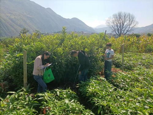 隆陽區林草局兩個到位 規范全區林草種子苗木市場秩序