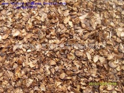 新紫薇種子是什么價格?