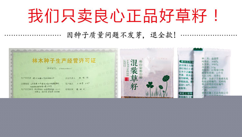 草籽種子吸水石上水石假山盆景造景裝飾小葉戀石大葉戀石混裝批發(fā)