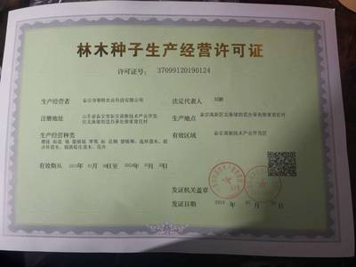 產(chǎn)地直銷葡萄苗 當(dāng)年葡萄苗 口感好 甜度高 陽光玫瑰葡萄苗