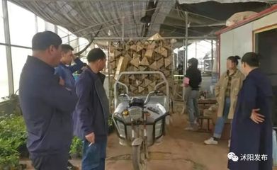 沭陽這四只“老鼠”被抓!