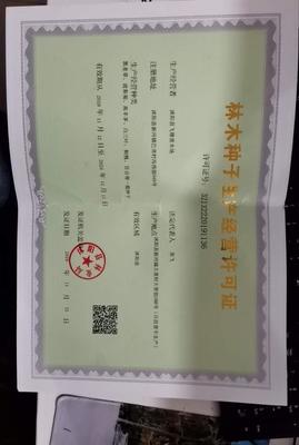 [草木樨種子批發]江蘇宿遷沭陽縣草木樨種子 13.00元/袋進口 _ 一畝田