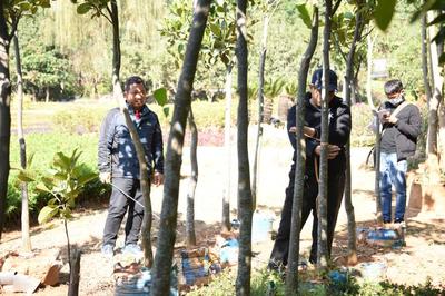 盈江縣林業和草原局信息公開專欄