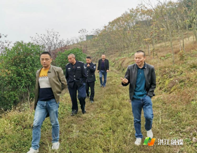 市林業局:把牢林草種苗安全,助力營商環境優化提升