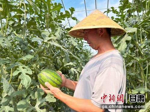中新武威觀 產業園成了全鎮農民的 聚寶盆