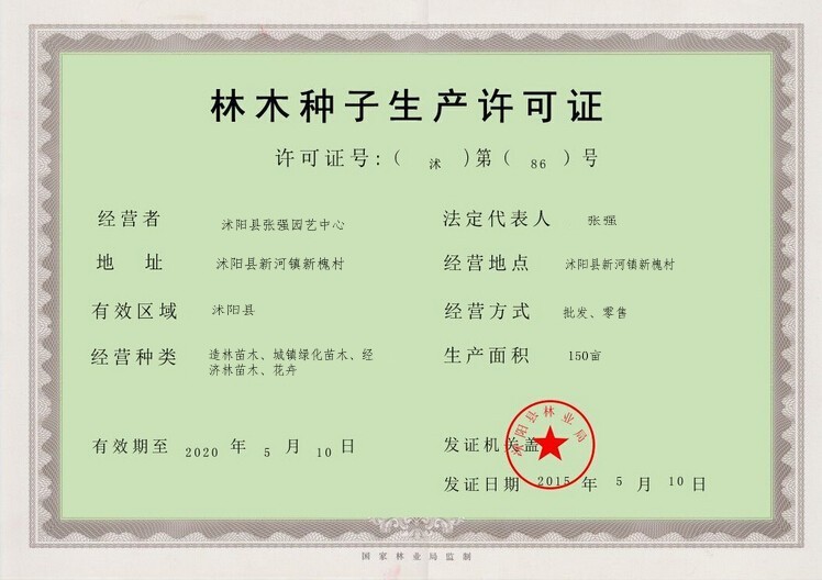 牽?；?花卉種子 矮牽牛花 彩色花卉 爬藤牽牛 大牽牛 重瓣牽?；? class=