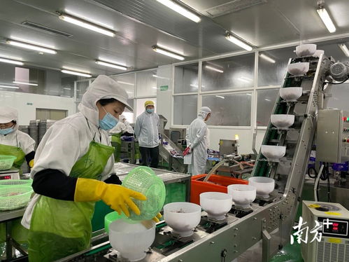 機器跑起來,銷售旺起來 汕頭制造業企業按下生產 加速鍵