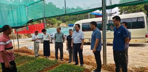 葉劍強率市人大常委會執法檢查組到我縣開展執法檢查