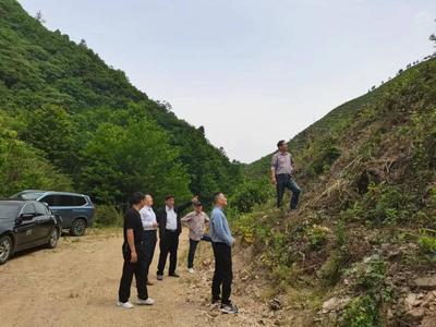 市林業局來我縣檢查林木種苗工作