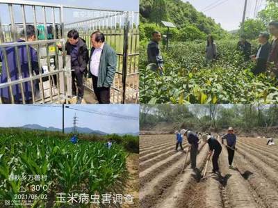 縣農(nóng)技推廣中心“我為群眾辦實事”實踐活動有聲有色
