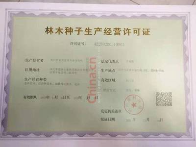 工程樹苗叢生紫薇 農(nóng)天苗木 西洋水楊梅 咨詢
