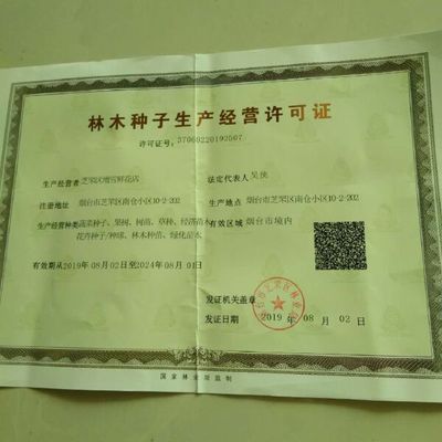 碗蓮種子四季開花已開口水培植物睡蓮荷花種子室內(nèi)外盆栽綠植花卉