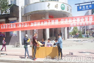 虎林市林業(yè)局開展新修訂 種子法 宣傳活動