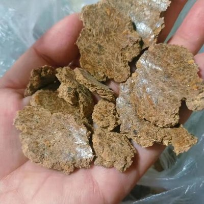 林業(yè)局印發(fā)《林木種子生產(chǎn)經(jīng)營檔案管理辦法》