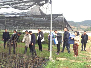 我縣種苗質(zhì)量獲省檢查組肯定