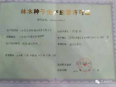 花場整改,誠招合伙經(jīng)營人或?qū)嵭姓w轉(zhuǎn)讓