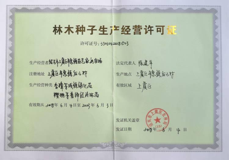 象山紅美人柑橘苗批發(fā)價格 紅美人桔苗品種介紹 基地柑橘樹苗