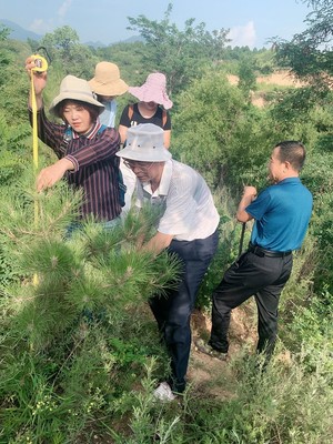 山西省種苗總站赴晉中市進(jìn)行種苗質(zhì)量抽查和生產(chǎn)經(jīng)營許可事項(xiàng)“雙隨機(jī)”執(zhí)法檢查工作