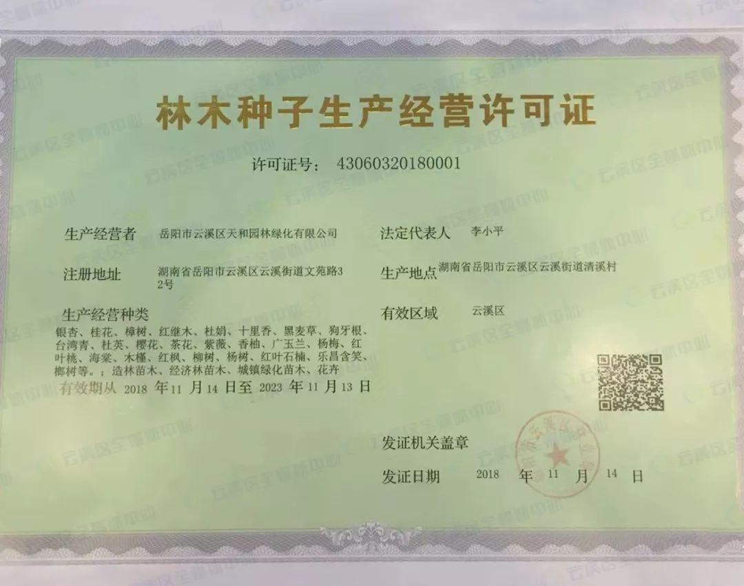 快來看看新鮮出爐啦云溪區(qū)第一本林木種子生產(chǎn)經(jīng)營許可證