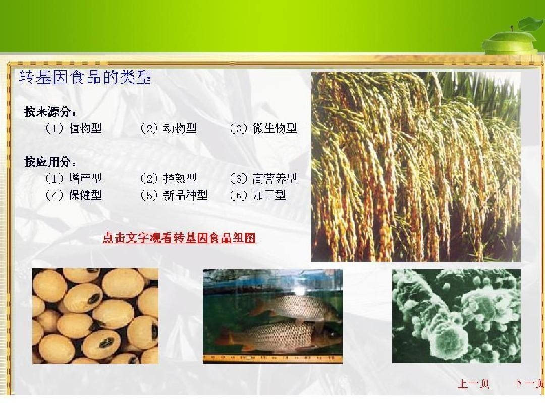 農(nóng)業(yè)部今天發(fā)布轉(zhuǎn)基因作物監(jiān)管辦法,嚴(yán)防轉(zhuǎn)基因種子冒充非轉(zhuǎn)基因生產(chǎn)經(jīng)營(yíng)