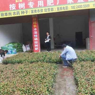 縣林業(yè)局技術(shù)人員到各苗圃開(kāi)展苗木質(zhì)檢工作