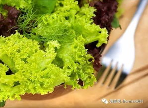 蔬菜除了安全,還有什么吸引你
