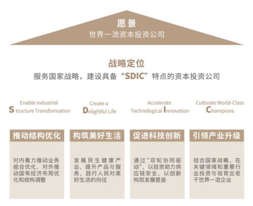 國(guó)投系 上市公司,集體發(fā)聲