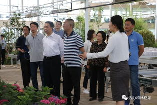 自治區(qū)人大常委會(huì)調(diào)研組來(lái)我縣調(diào)研