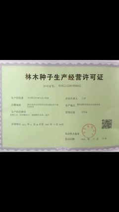公司介紹