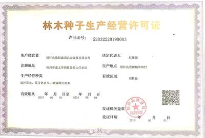 《桐梓縣夜郎鑫源農(nóng)業(yè)發(fā)展》刺竹苗、方竹苗