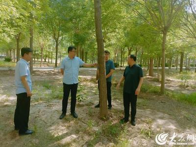德州市自然資源局開展2024年林木種苗質量抽查工作