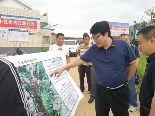 攀枝花市林業局調研國家保護林木種質資源和森林防火道路建設
