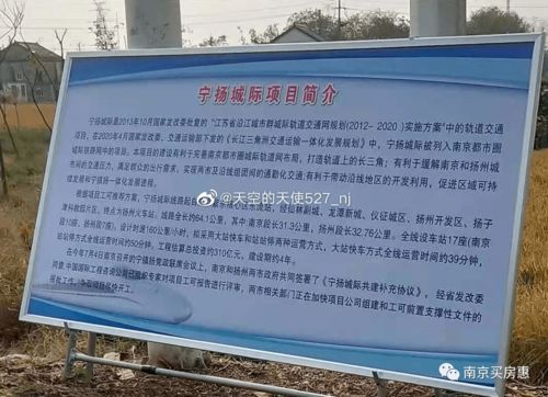 南京 十四五 規劃編制,專家點了這些板塊...