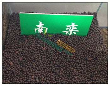 欒樹種子 供應欒樹種子 中國花木網