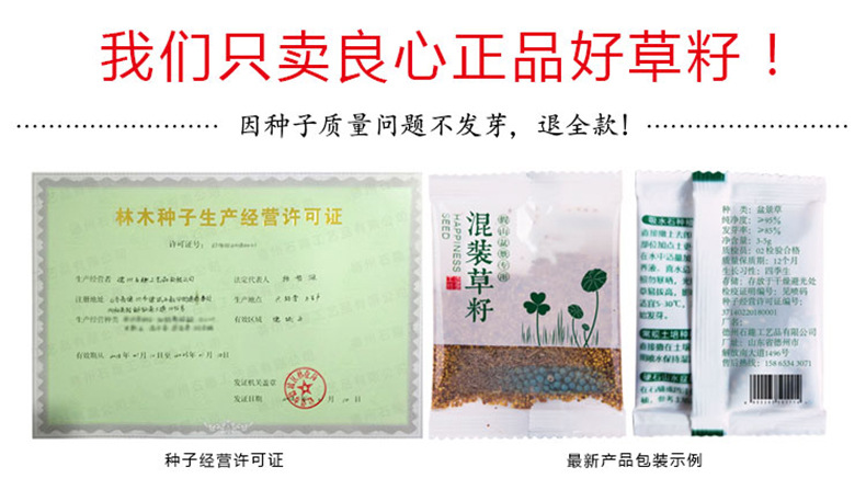 草籽種子吸水石上水石假山盆景造景裝飾小葉戀石大葉戀石混裝批發