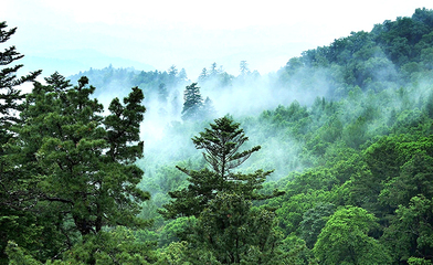 基本情況