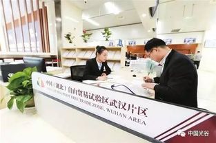 湖北加快自貿區建設,61項省級經濟管理權限下放
