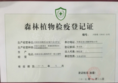 造林苗木的兩證一簽是什么意思